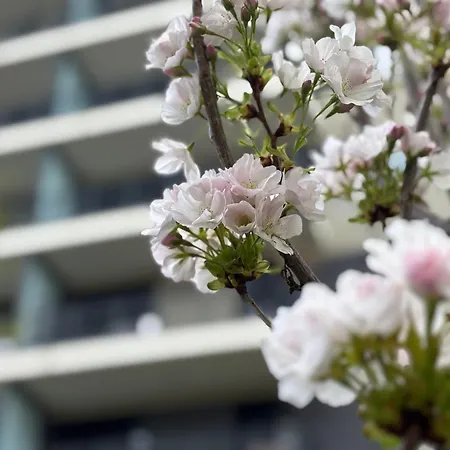 Japandi Apartment, Free Parking Appartement