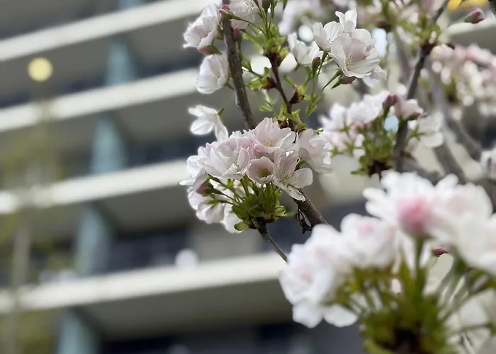 Japandi Apartment, Free Parking Apartament